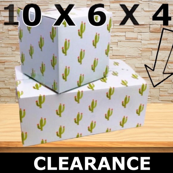 LAST SET ))) CLEARANCE 9 (10X6X4) Cactus Boxes - Picture 6 of 8